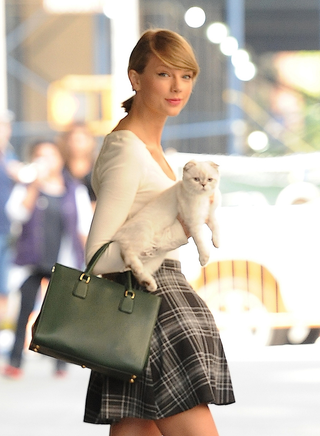 Illustration for article titled Taylor Swift Takes Olivia Benson the Cat for a Walk